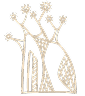 Wisdom Icon